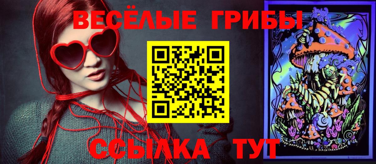 Галлюциногенные грибы Magic Shrooms  где можно купить   Крымск  Вход с VPN  Галлюциногенные грибы ЛСД 